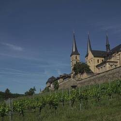 Weinberg und Kirche St. Michael