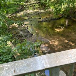 Der Rote Main