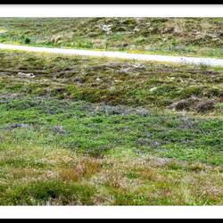 Radwanderwege vom Feinsten..