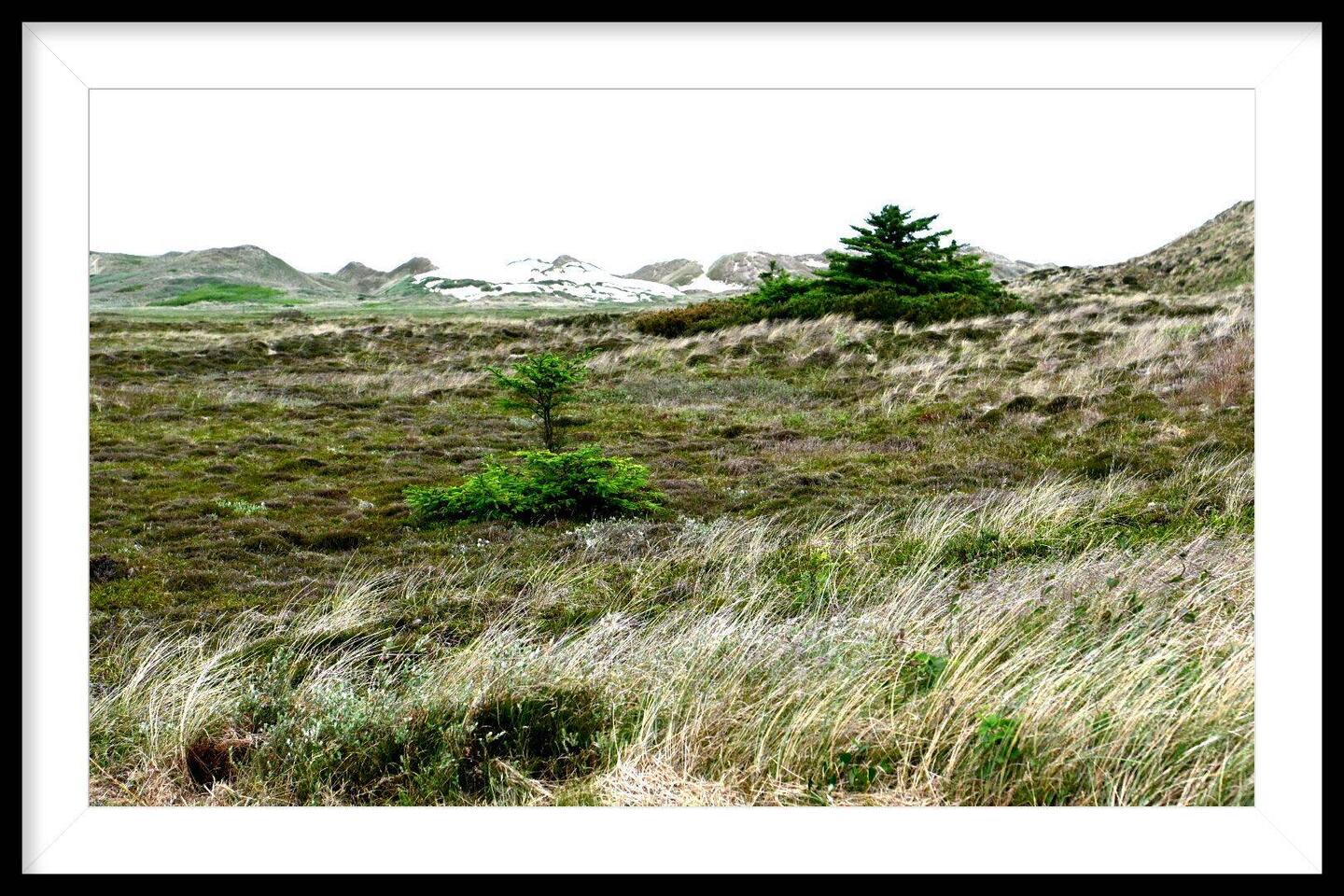 Hohe Dünen auf der Landzunge "Hvide Sande"
