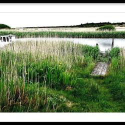 ...passen toll in die Landschaft