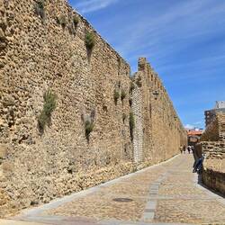 León was a walled city