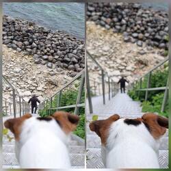 Treppen waren mir zu steil und schmal.Jens musste runter 🤭