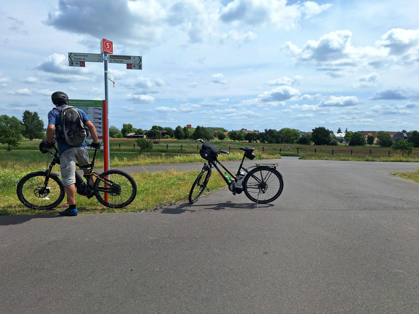 Elbe-Radweg kurz vor Schartau