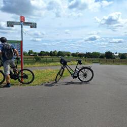 Elbe-Radweg kurz vor Schartau
