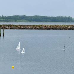 Mini-Segel-Regatta