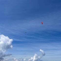 Hang gliders