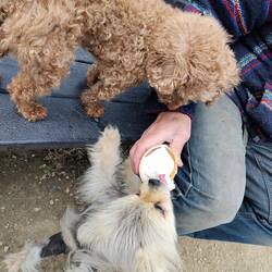 Sharing was tricky