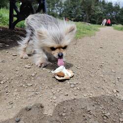 Look at that tongue! 👅