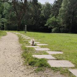 Leo playing Standege Tunnel hopscotch