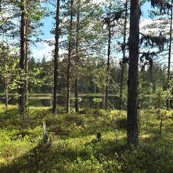 Wandern