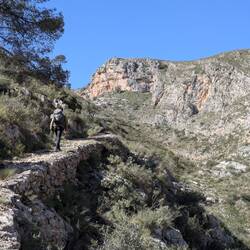 Serra de l'Ombria