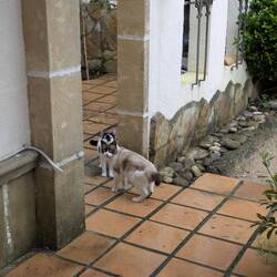 Sumi's best friend!