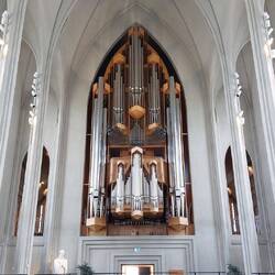 The organ