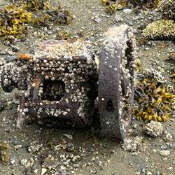 Some beach relic.