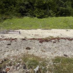 More of the midden.