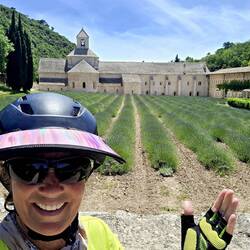 Sénanque Abbey near Gordes
