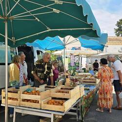 First stop: Sunday Farmer's Market in Coustellet