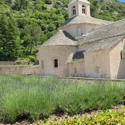 Sénanque Abbey near Gordes