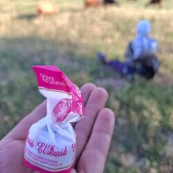Sehr liebe Geste