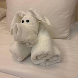 Towel art! The staff onboard are very friendly and helpful