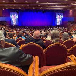 Theatre on board, we saw a show this evening after dinner