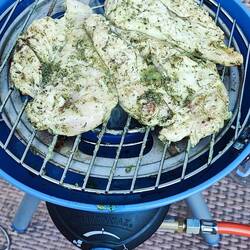 Ganz spontan gegrillt
