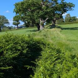 Path runs on top of the Dyke here