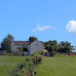 Farm with three legged dog