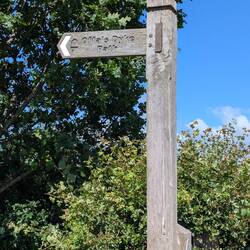 Path is well marked