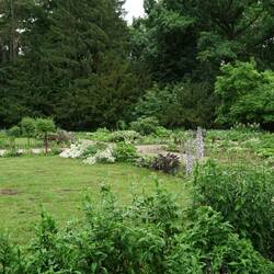 Botanischer Garten - viel kleiner als der Dresdner