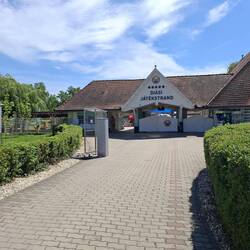 5 Sterne