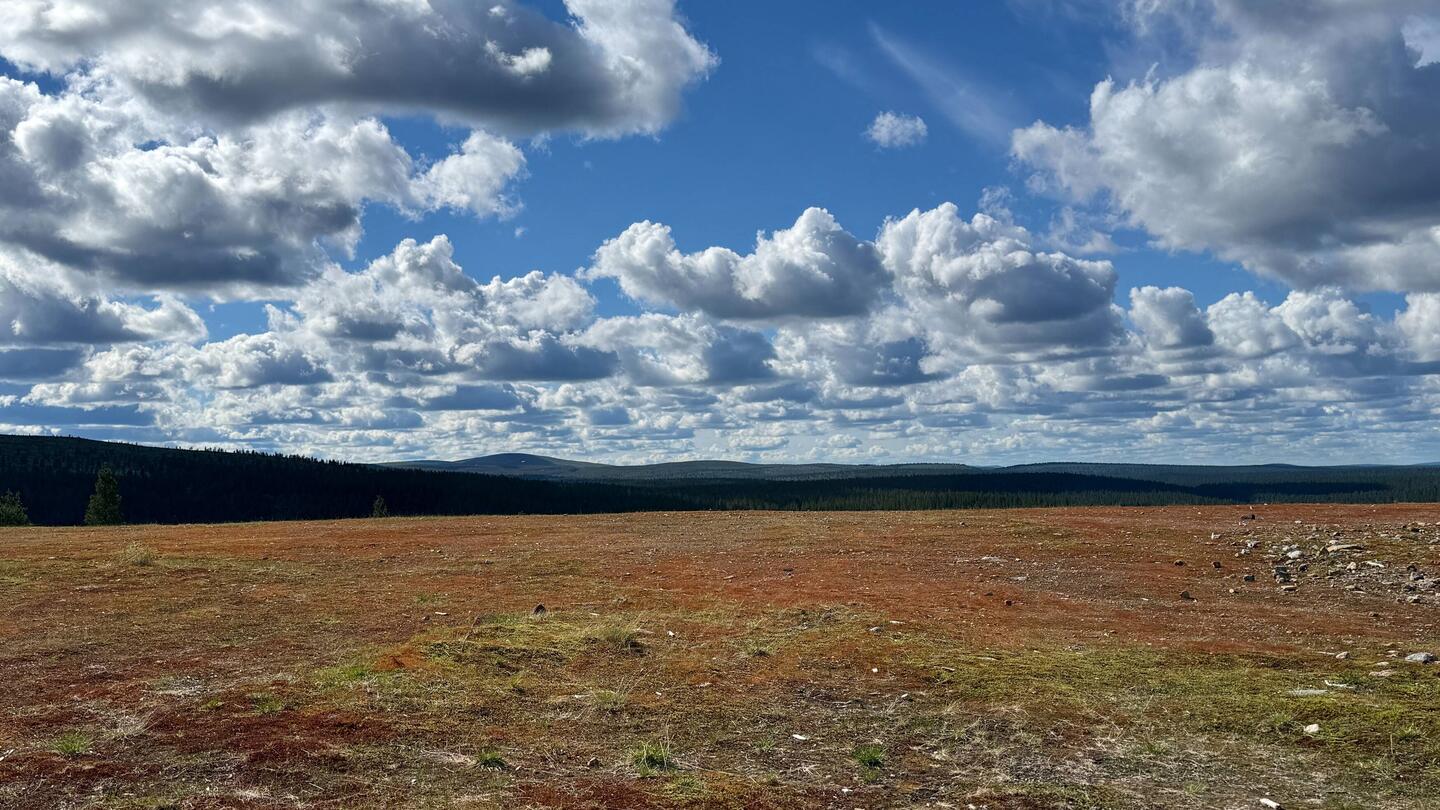 Abstieg vom Kaunispää