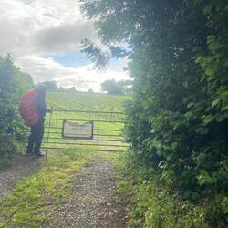 It was very wet at the start of our walk