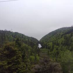 Fog!