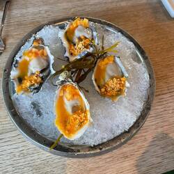 Oysters with pickled apricots