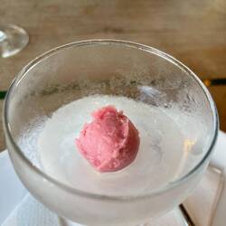 Sorbet that tastes like lemonade