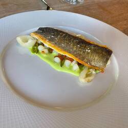 Branzino