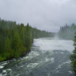 Dawson Falls