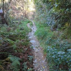 The path down