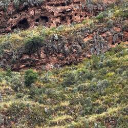 Cave graves