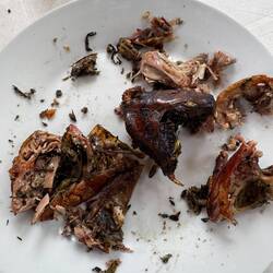 Roasted Cuy