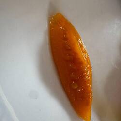 Dessert at lunch- candied tomato