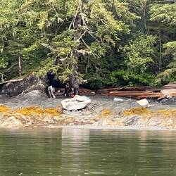Looks like an old boat on shore.