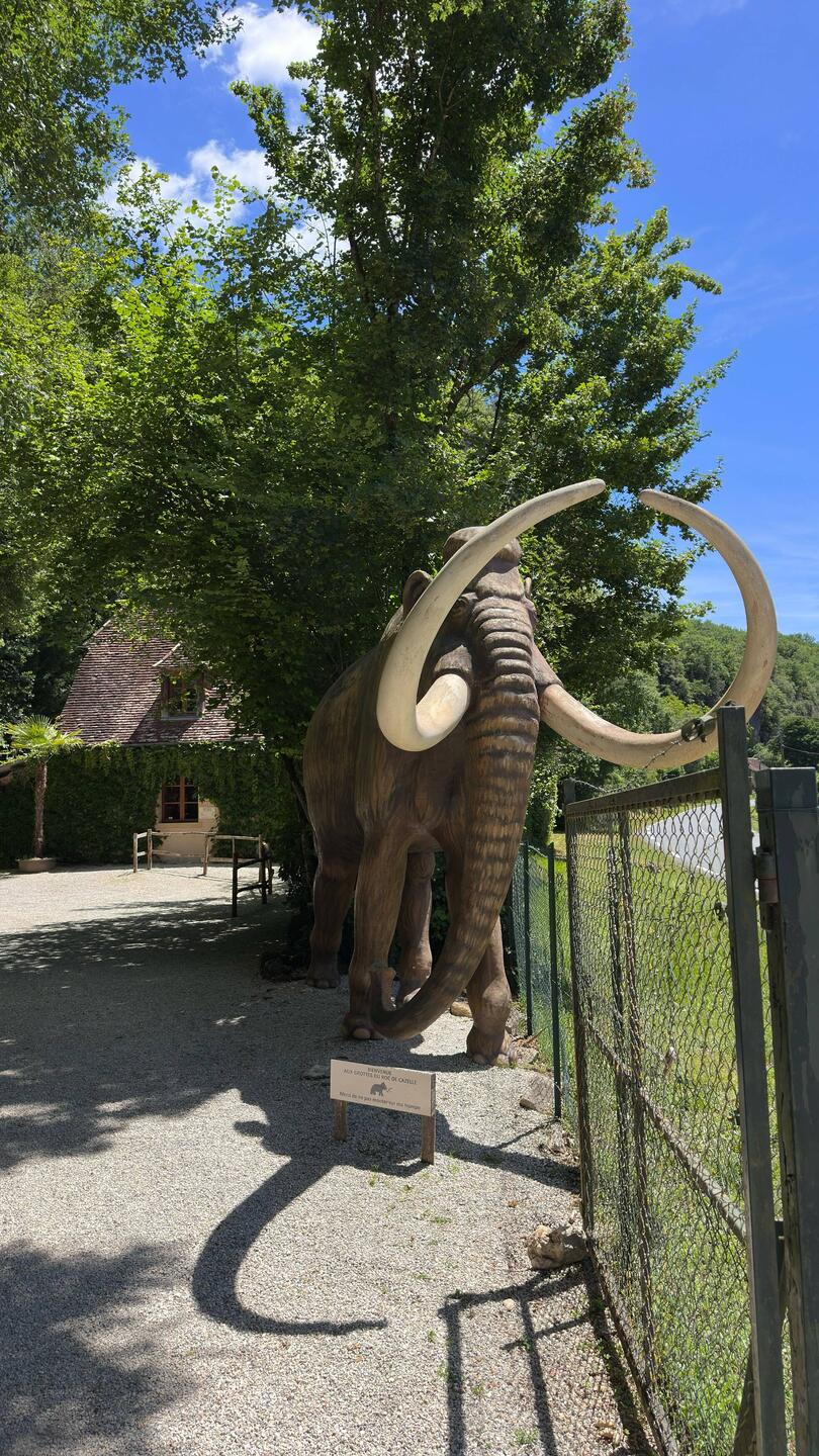 Auf dem Weg ein Mammut