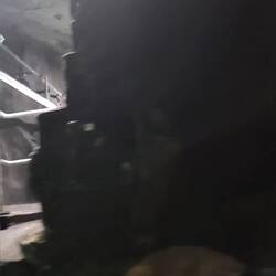 Using a connecting tunnel to check we are ok