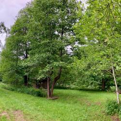 Noch son' Rastplatz