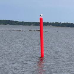 finnische Topzeichen