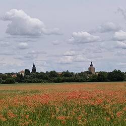 Gröbzig