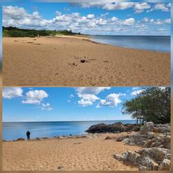 Hundestrand